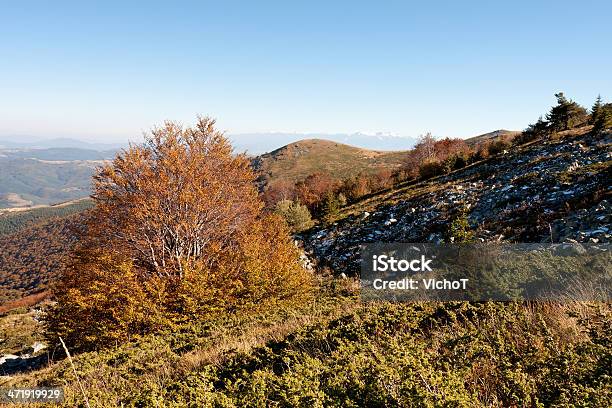 De Otoño Vista Foto de stock y más banco de imágenes de Aire libre - Aire libre, Armonía - Concepto, Belleza de la naturaleza