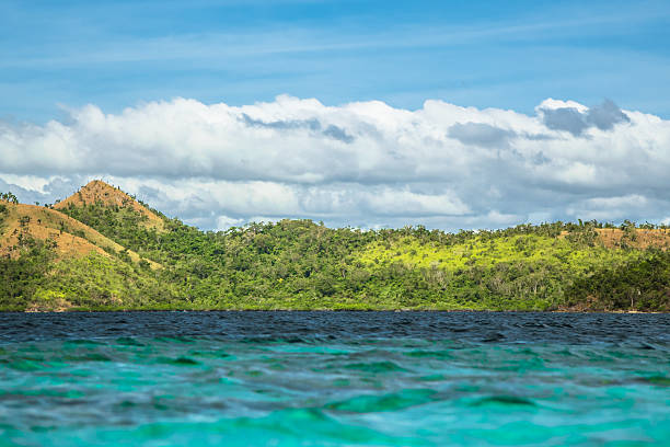 istock Landscape in the Philippines 471920636