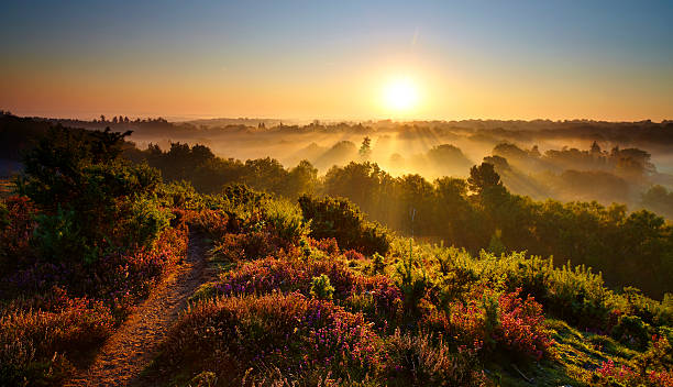 istock Sunrise In The Surrey Hills 471921811
