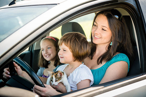 istock Mother and child driving car 471922306