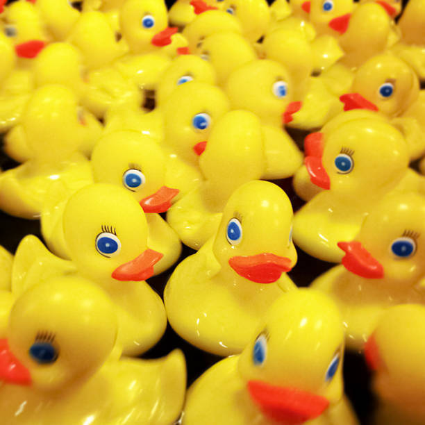 istock yellow rubber ducks floating in the water 471923011