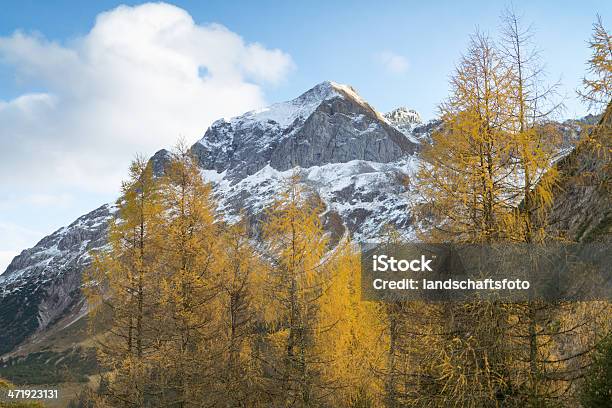 Herbst Farben In Österreich Stockfoto und mehr Bilder von Baum - Baum, Berg, Fallen