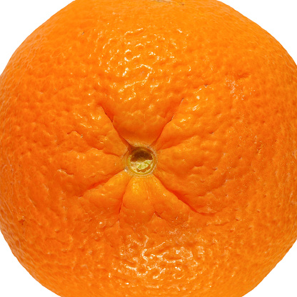 Orange citrus fruit isolated over an orange background