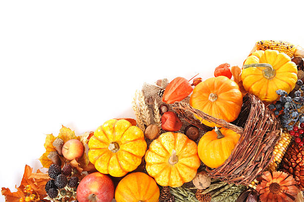 istock Thanksgiving  in rattan basket 471924368