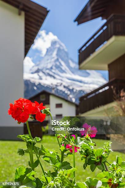 The Great Matterhorn And Flowers Switzerland Stock Photo - Download Image Now - Awe, Beauty, Beauty In Nature