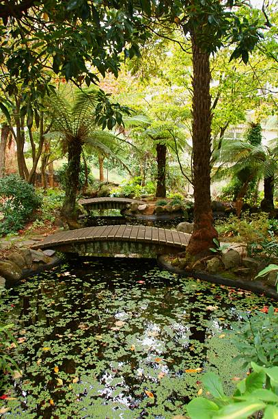 istock Beautiful gardens and pond. 471924740