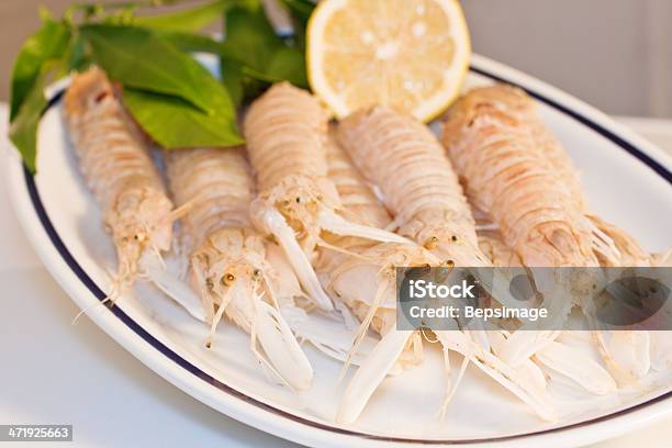 Ringing Mantis Stock Photo - Download Image Now - Animal Antenna, Claw, Crayfish - Seafood