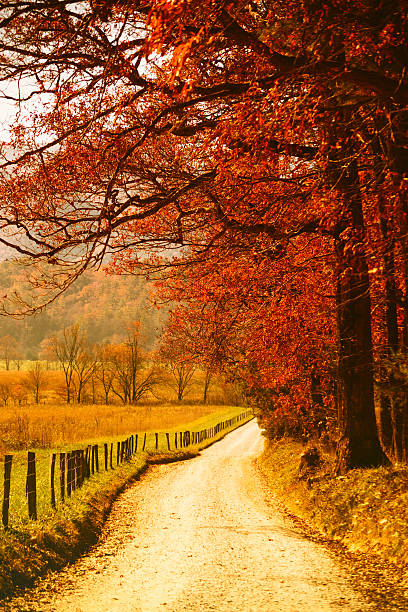 Asphalt road during Fall. Great Smoky Mountains National Park.