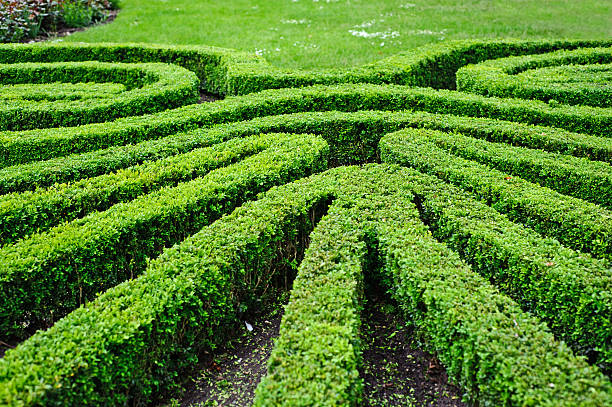 Bratislava Castle, Slovakia, October, 29, 2025. Formal public parterre garden at the rear of castle. Abstract symmetrical pattern. Autumn day outdoors