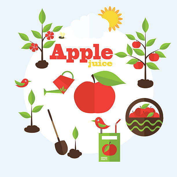 ilustrações, clipart, desenhos animados e ícones de vetor ilustração em estilo de jardim plana - bee apple tree flower single flower