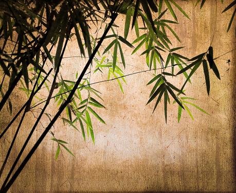 Bamboos on vintage textured sepia background