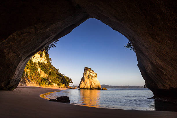 catedral cove en sunrise, nueva zelanda - new zealand cathedral cove sea sand fotografías e imágenes de stock