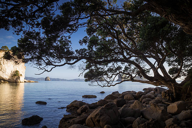 Stingray Bay, Coromandel Peninsula, New Zealand.
