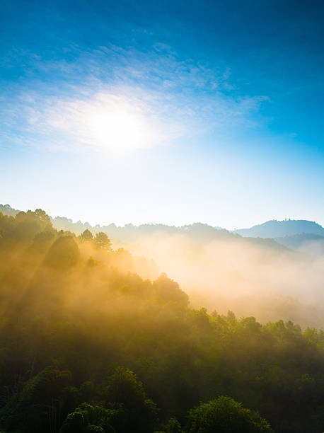 istock Beautiful sunshine at misty morning mountains . 471932615
