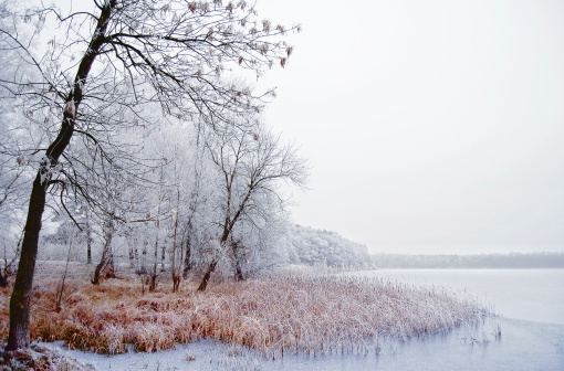 Winter landscape at a river and lake. In front birch tree and reed with Soft rime. a path leading through the landscape. Located Wolzensee lake, Havelland (Brandenburg, Germany)