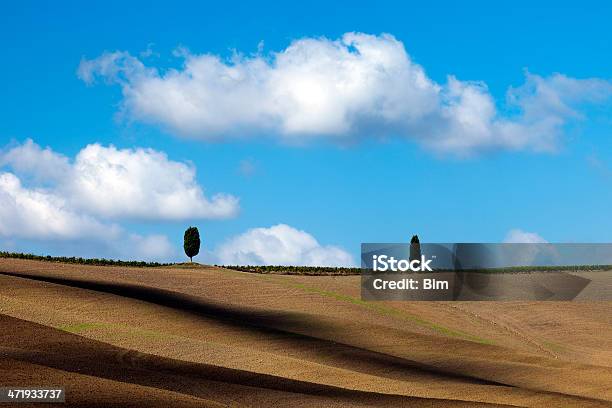 Photo libre de droit de Paysage De La Toscane Avec Lumières Les Ombres Et De Solitude Cyprès banque d'images et plus d'images libres de droit de Abstrait