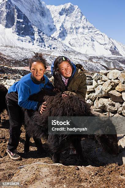 Foto de Jovens Garotas Brincando Com Yaks Nepalês e mais fotos de stock de Aldeia - Aldeia, Criança, Índia