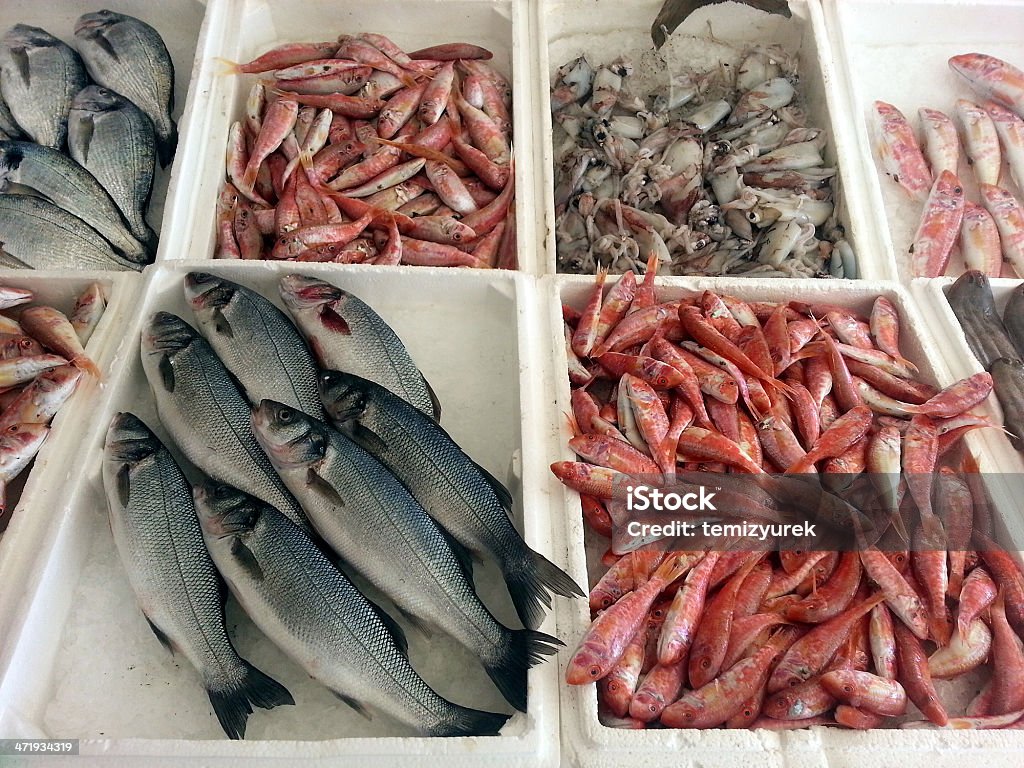 Meeresfrüchte im Markt - Lizenzfrei Calamares Stock-Foto