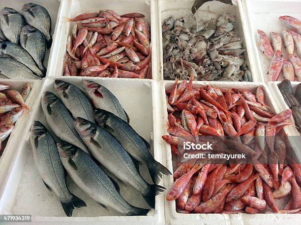 Seafoods の市場 - イカフライのストックフォトや画像を多数ご用意 - イカフライ, エビ料理, クローズアップ