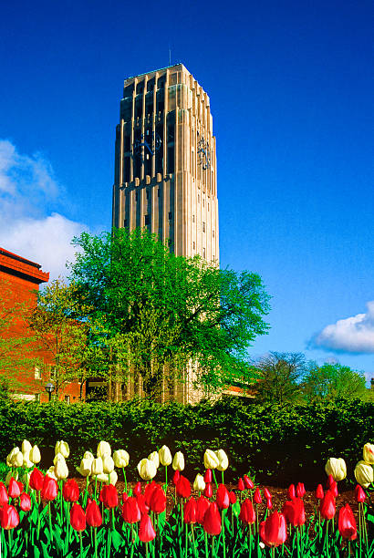 Aerial View of Burton Memorial Tower Amidst Urban Landscape, University of Michigan, Ann Arbor