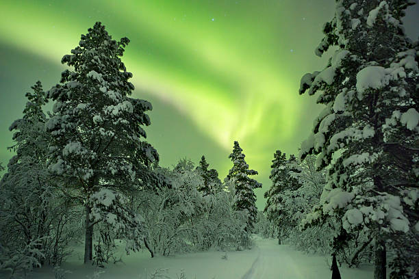 istock Aurora borealis over a path through winter landscape, Finnish Lapland 471934889