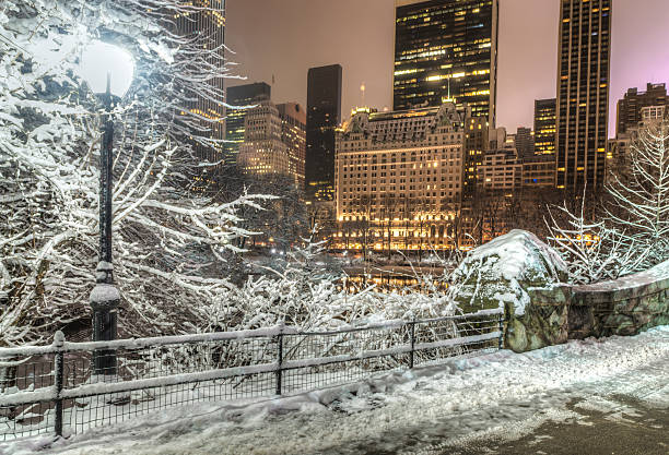 istock Central Park, New York City 471935540