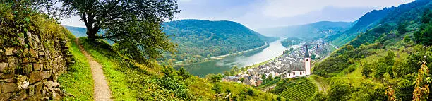 Landscape with the river Moselle in Germany. panorama of Moselle valley and Mosel