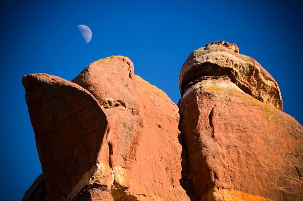 The beautiful arid landscape of Colorado with polarizer for cobalt sky. Taken at Red Rocks State Park outside of Denver.