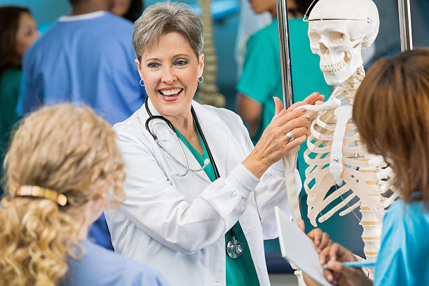 médico o de enfermería profesor utilizando anatomía esqueleto modelo para enseñar - anatomy classroom human skeleton student fotografías e imágenes de stock