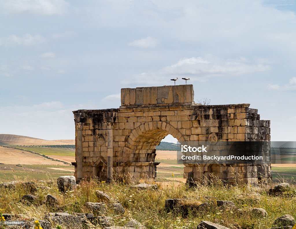 Ruins at Volubilis Morocco Volubilis is a partly excavated Roman city in Morocco situated near Meknes between Fes and Rabat. Built in a fertile agricultural area, it was developed from the 3rd century BC onwards as a Phoenician Carthaginian settlement Africa Stock Photo