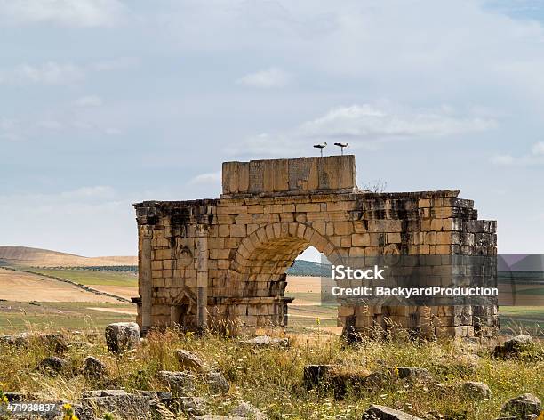 Ruins At Volubilis Morocco Stock Photo - Download Image Now - Africa, Ancient, Antique