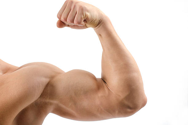 istock Close up on a bodybuilder biceps,shoulder,big arm 471940137