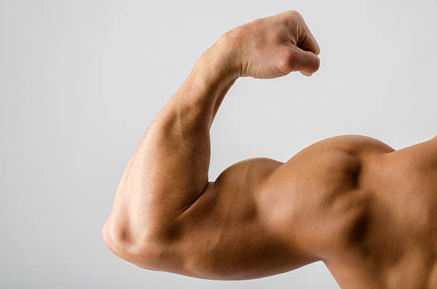 istock Close up on a bodybuilder biceps,shoulder,big arm 471940143