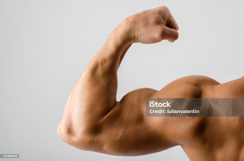 Close up on a bodybuilder biceps,shoulder,big arm Active Lifestyle Stock Photo