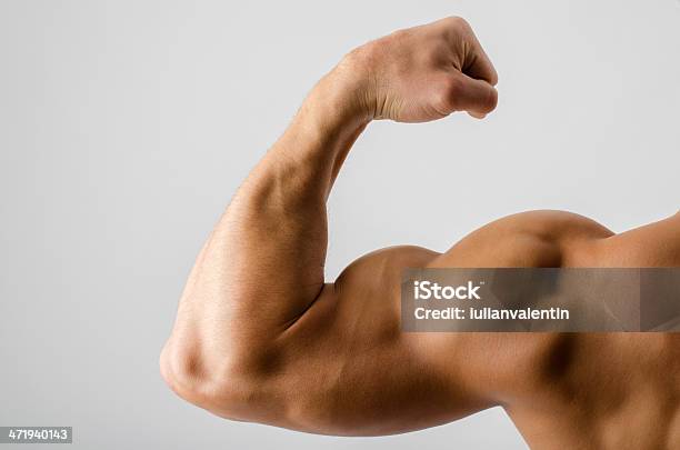 Close Up On A Bodybuilder Bicepsshoulderbig Arm Stock Photo - Download Image Now - Active Lifestyle, Adult, Adults Only