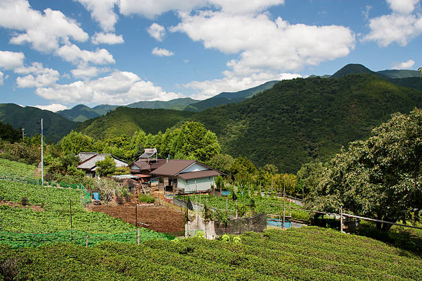 kumano montagne-giappone - kii foto e immagini stock