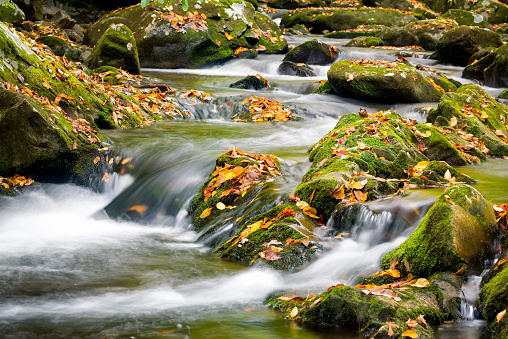 Mountain stream in Great Smoky Mountain National Park with fall colors on display