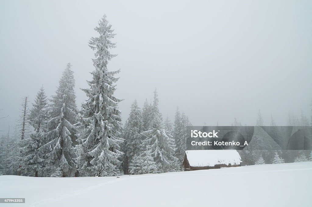 Winter in the mountains Winter landscape in mountains overcast day. Carpathians, Ukraine Climate Stock Photo