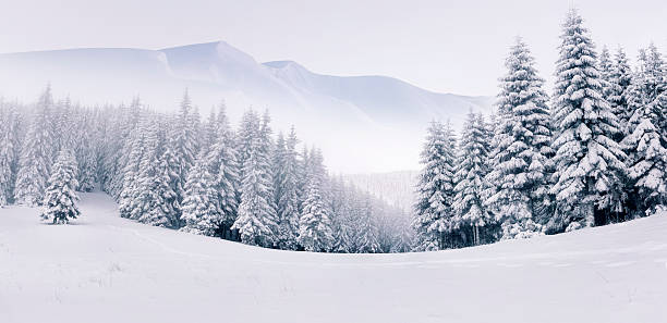 Stunning panoramic view of white winter mountain landscape