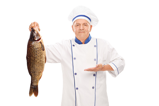 Mature chef holding a big freshwater fish and gesturing with his hand isolated on white background