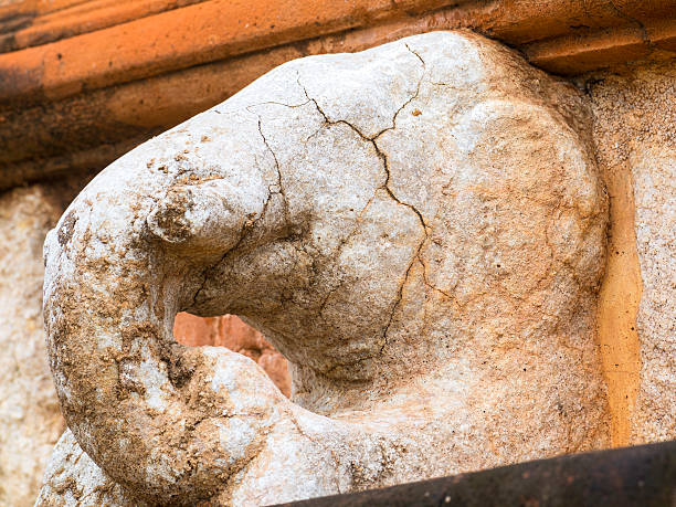 The architectural curving elements of elephant head in stone at Stupa Jetavanaramaya in Anuradhapura Sri Lanka. Anuradhapura was one of the ancient capitals of Sri Lanka with well-preserved ruins of ancient civilization and is the famous pilgrim’s site in Sri Lanka.  It is declared a UNESCO World Heritage site.