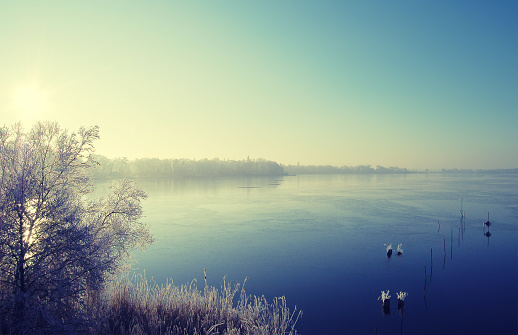 Winter landscape with soft rime. a lake Hohennauen (Brandenburg, Germany.) 