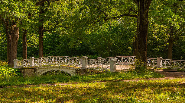 brücke im park - alex parks stock-fotos und bilder