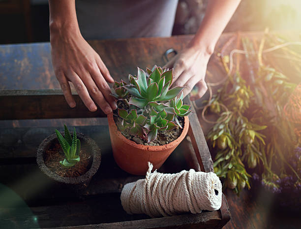 istock To plant is to believe in tomorrow 471947404