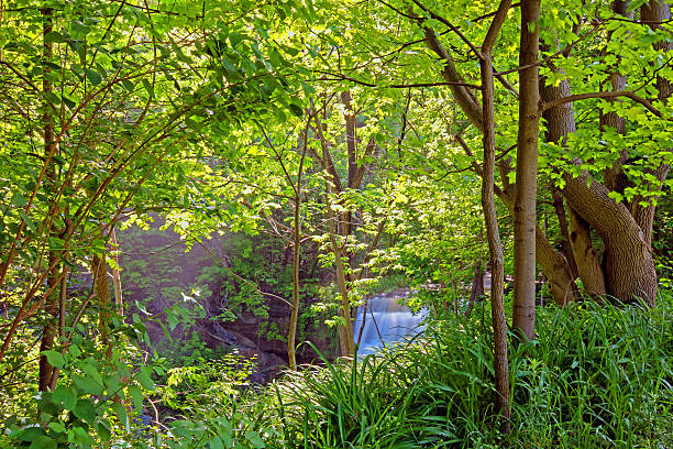 tropical falls stock photo