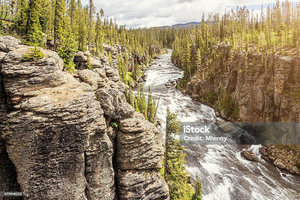 Rio Yellowstone Parque Nacional do Canyon EUA - Royalty-free Ao Ar Livre Foto de stock