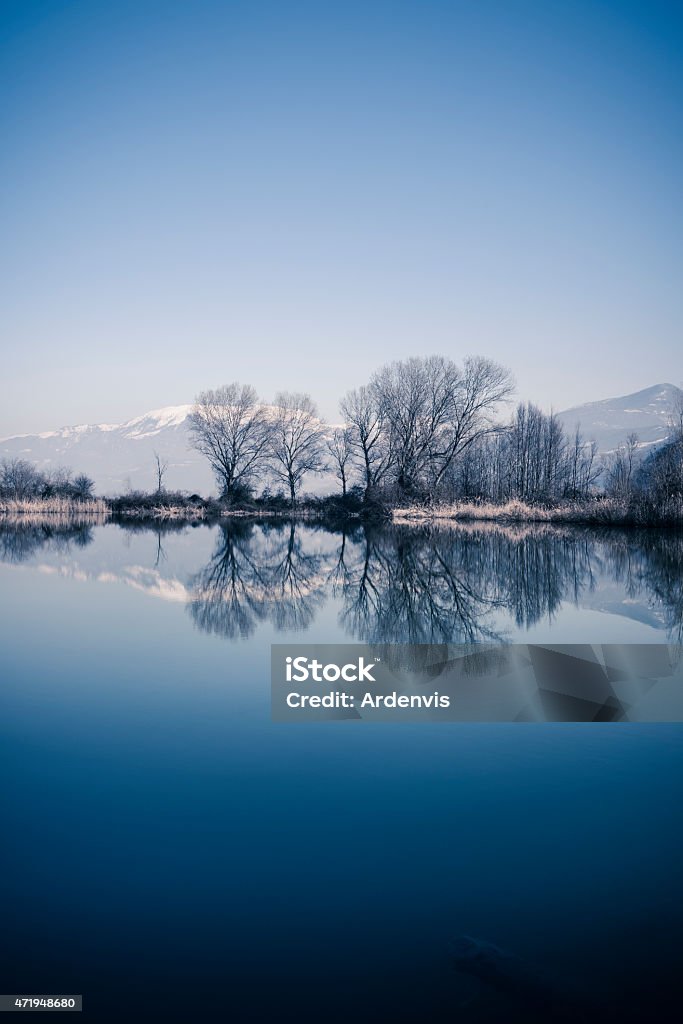 Lago freddo in inverno, Torbiere del Sebino - Foto stock royalty-free di 2015