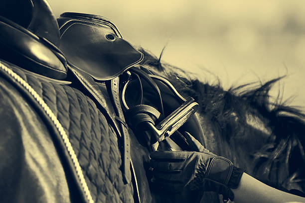 Elegant Genuine Leather Horse Saddle and Other Products in the Equestrian Retail Store. Horse Riding Accessories.