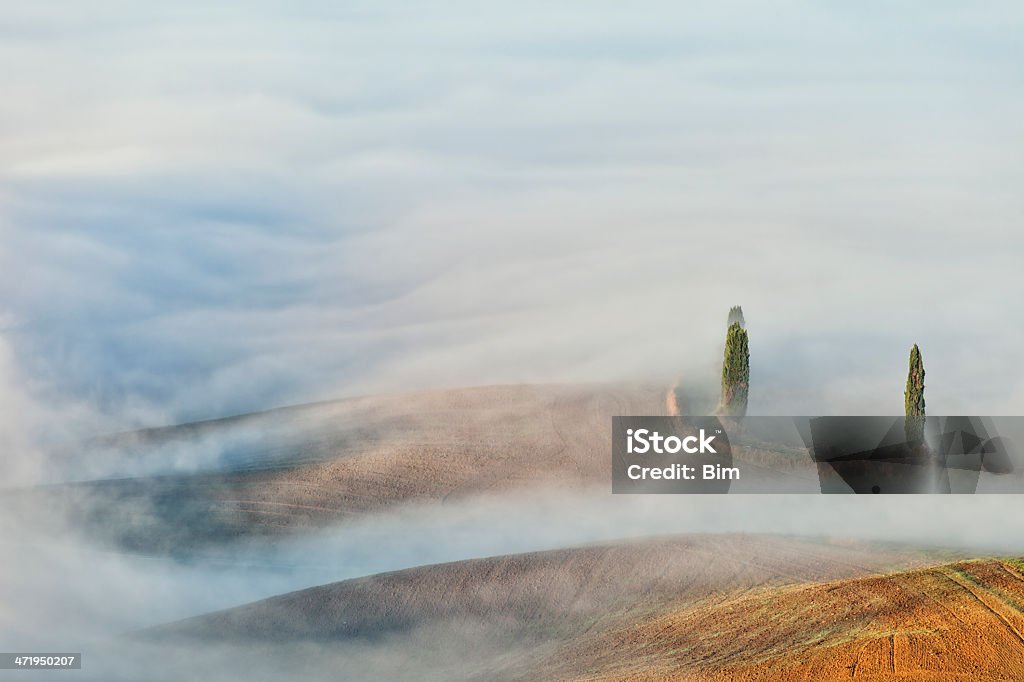 Paisagem de nevoeiro com ciprestes, Toscana, Itália - Foto de stock de Abstrato royalty-free