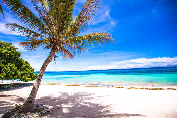 istock Perfect white tropical beach on an exotic island 471951593